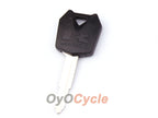 Rohling für Kawasaki #OYO87904612