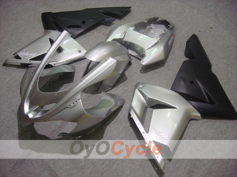 Verkleidungssatz für 04-05 NINJA ZX-10R - Schwarz, Silber - Werksdesign #OYO87901525 Hauptbild