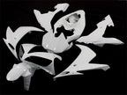 Unlackierter Verkleidungssatz aus Spritzguss für 04-06 YZF-R1 - Weiß - Werksstil #OYO87902498